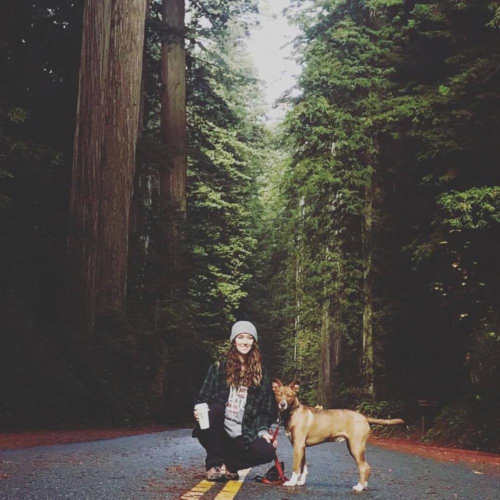 Meet your Posher, Allisyn